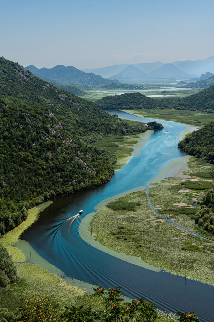 Bird watching in Lake Skadar is one of the top things to do in Montengro for nature travellers