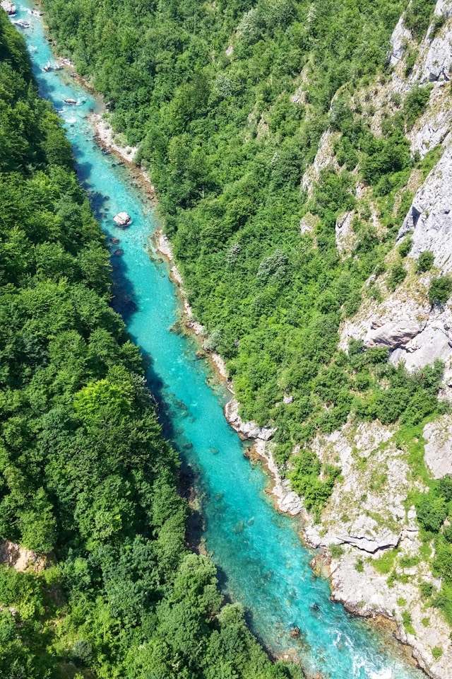 Whitewater rafting at Tara Canyon is one of the top things to do in Montenegro for nature travellers