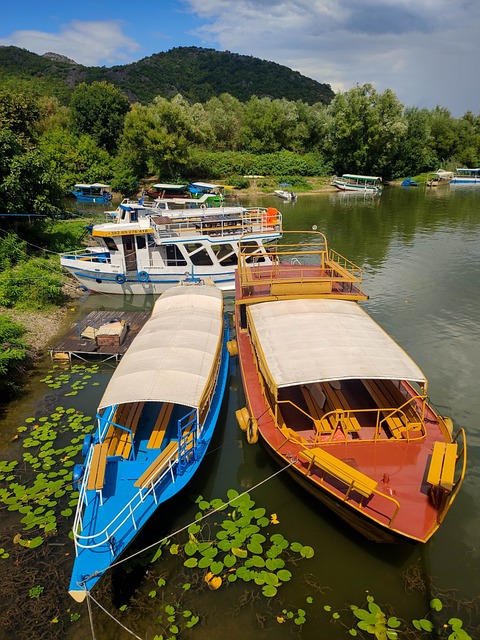 Things to do in Lake Skadar - Boat Trip